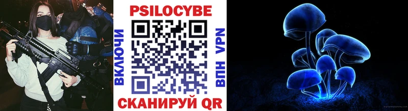 Псилоцибиновые грибы мухоморы мега tor Озёрск как найти закладки